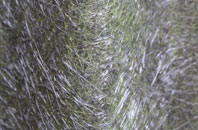 Crowell fibreglass roof work